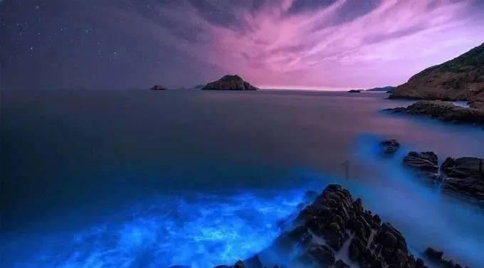 月光影视