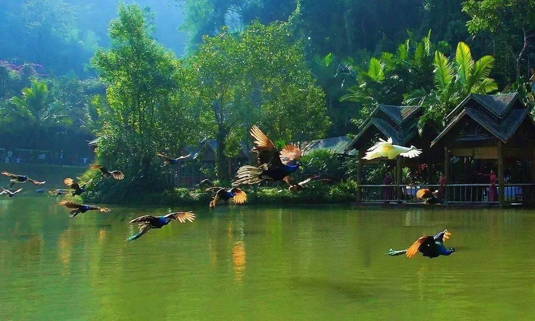 《幻兽帕鲁》瞅什魔配种攻略