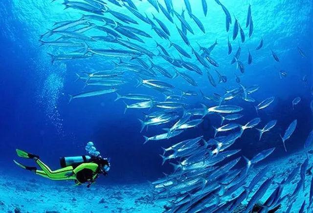 海岛冲浪