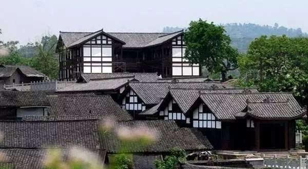盐和避难所