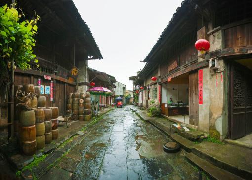 虎皮兰冻伤了该怎么办呢?虎皮兰冻伤后处理方法是什么?-专注解决你的困惑