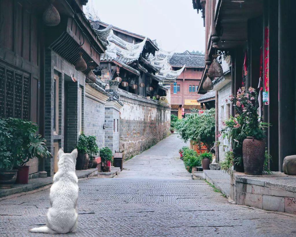 @各位旅客 雨雪冰冻来袭，部分列车运行方案将动态调整