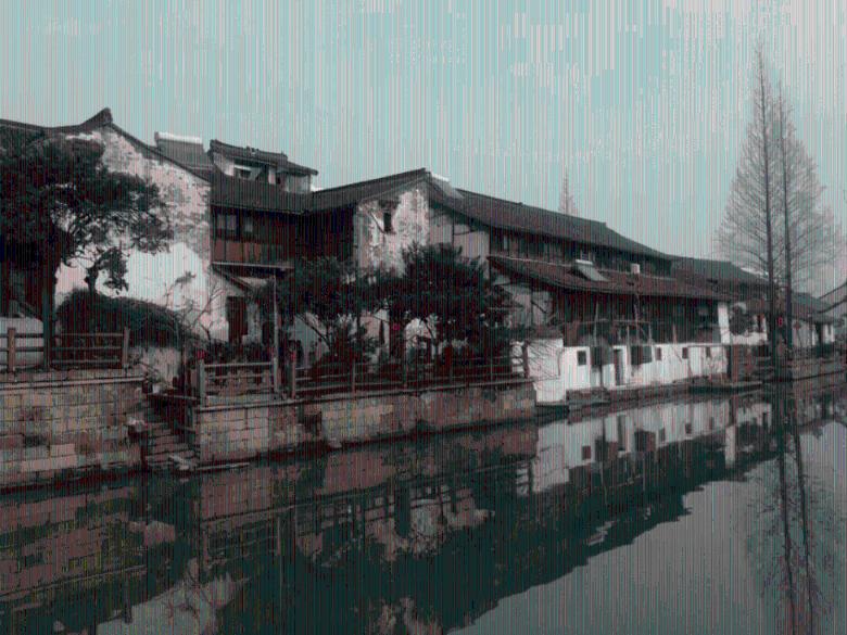 产业兴旺“鸭”先知