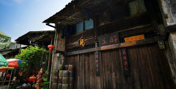拯救精灵的土地9