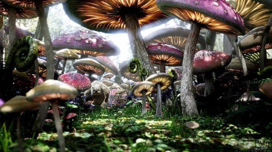 买的手抓饼的做法游戏画面